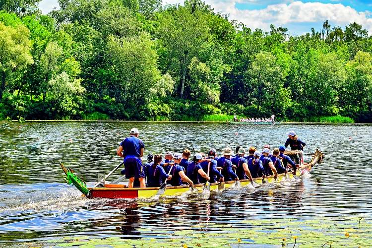 The Dragon Boat paddle synchronization and strengthened collaborative spirit